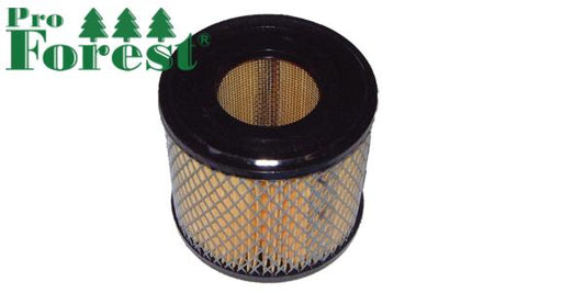 Ilmansuodatin Briggs & Stratton #393957S