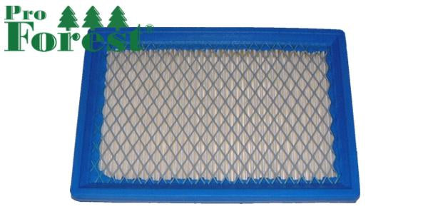 Ilmansuodatin Briggs & Stratton #397795S