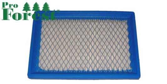 Ilmansuodatin Briggs & Stratton #397795S