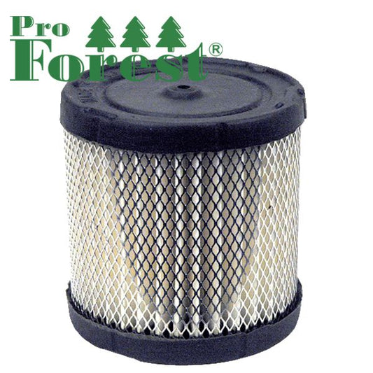 Ilmansuodatin Briggs & Stratton #396424