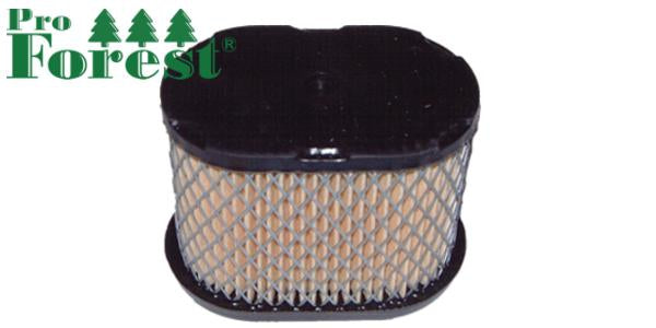 Ilmansuodatin Briggs & Stratton #697029