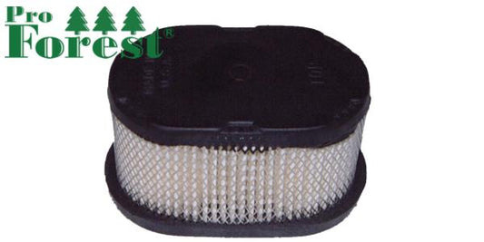 Ilmansuodatin Briggs & Stratton #497725S