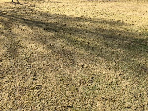 Ilmastointiterä ruohonleikkuriin
