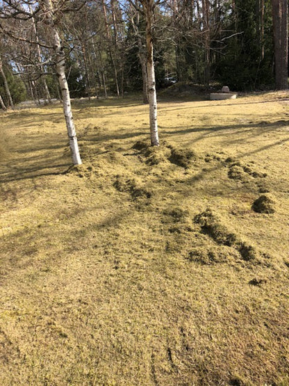 Ilmastointerä ruohonleikkuriin