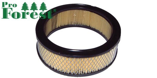 Ilmansuodatin Briggs & Stratton #394018S