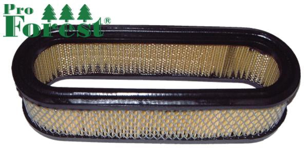 Ilmansuodatin Briggs & Stratton #394019S