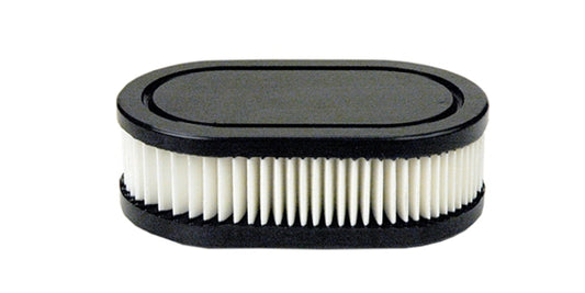 Ilmansuodatin Briggs & Stratton #593260