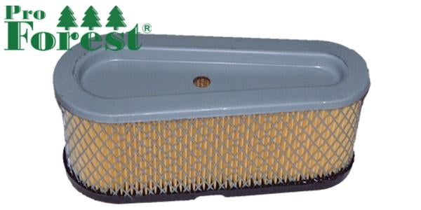 Ilmansuodatin Briggs & Stratton #496894S