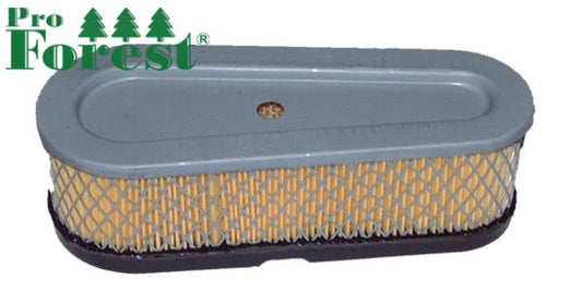 Ilmansuodatin Briggs & Stratton #691667