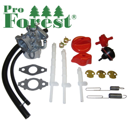 Kaasutin Briggs & Stratton #798917, #593357