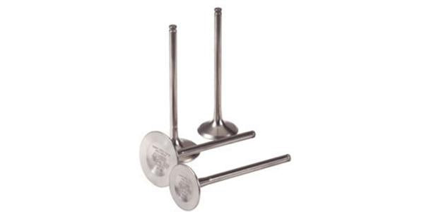 Pakoventtiili Briggs & Stratton #296676