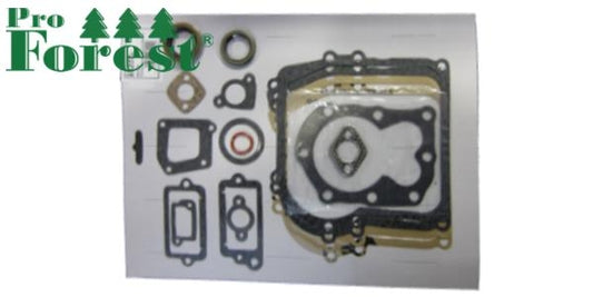Tiivistesarja Briggs & Stratton #590777
