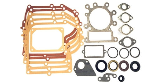 Tiivistesarja Briggs & Stratton #495993