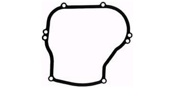 Tiiviste Briggs & Stratton #270069